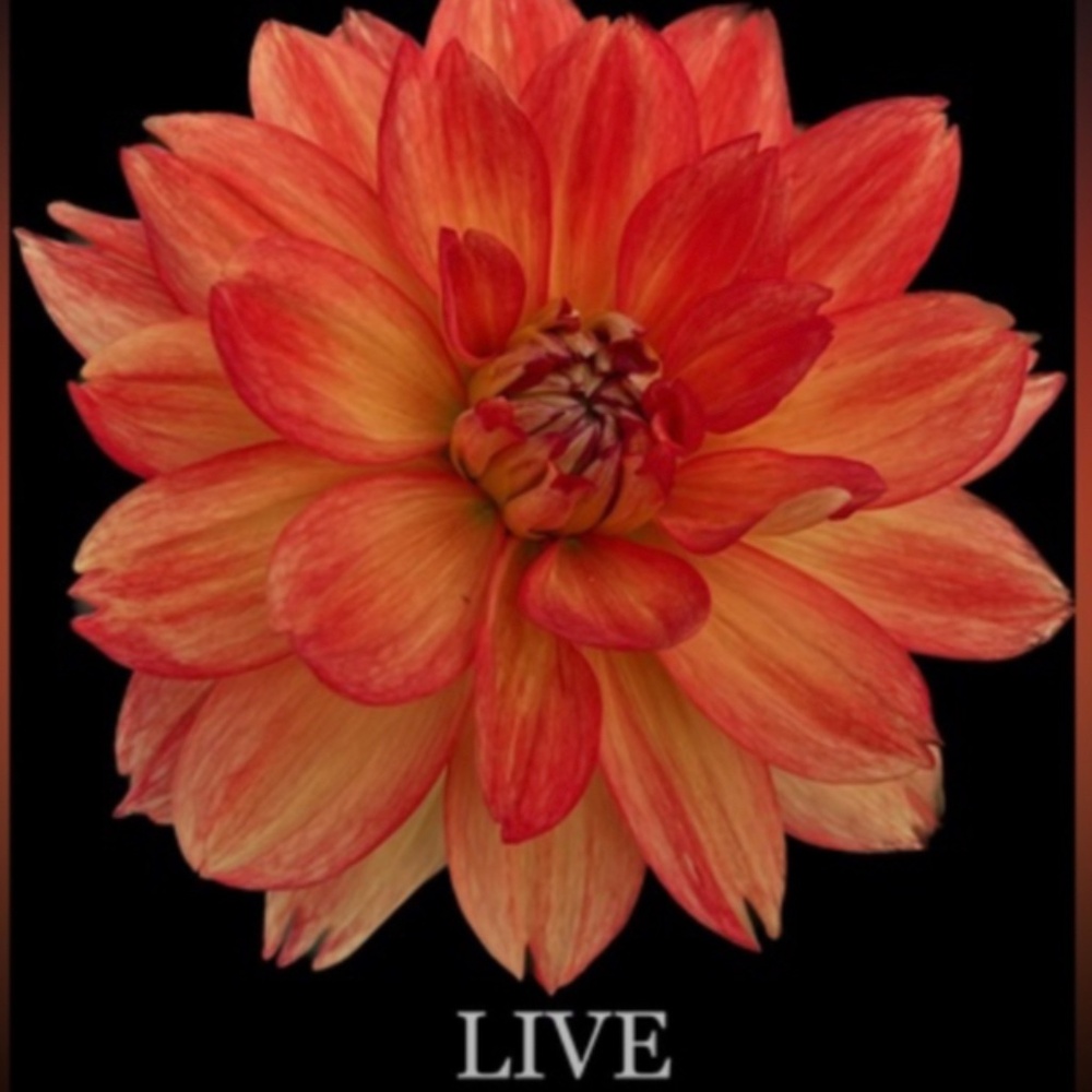 CONGRATULATIONS 🎉 U WON!  🥳🥳🎉🎉💕💕THANK YOU🤗🤗 - Picture 7 of 9